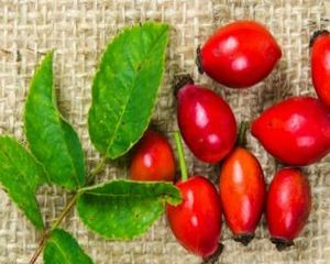 La cura con le rose canine per stimolare l’immunità e regolare il metabolismo