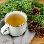 Tè di aghi di pino: rimedio naturale per numerose affezioni