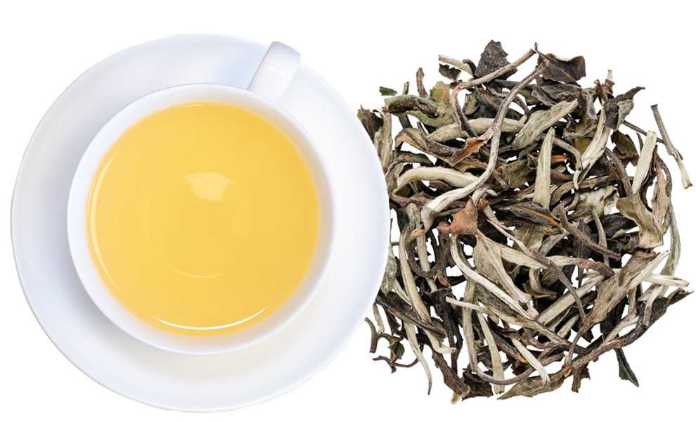 Tè bianco: proprietà medicinali eccezionali