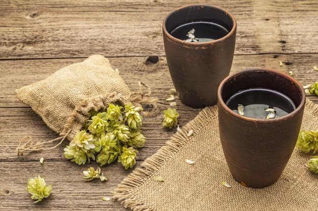 Tè di luppolo: rimedio molto importante nella medicina naturale con proprietà medicinali sorprendenti