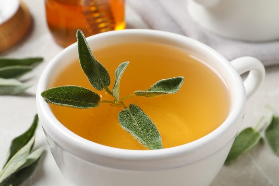Tè di salvia molto efficace nel trattamento di oltre 60 malattie