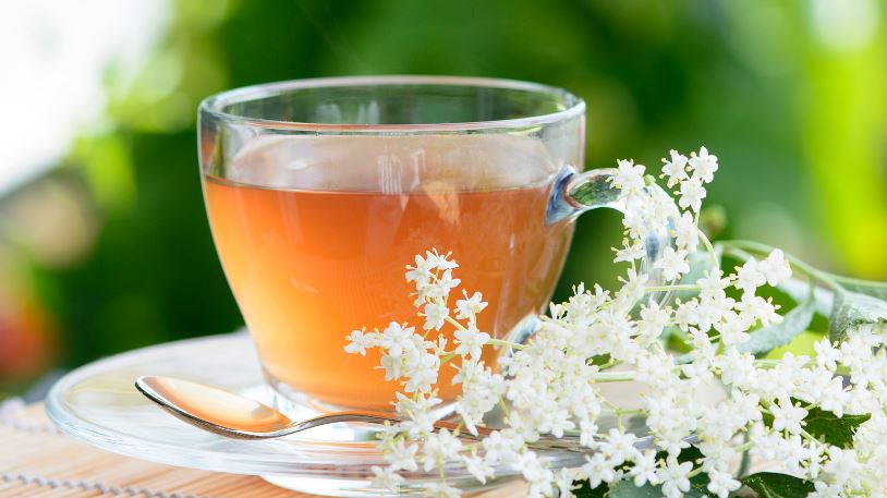 Tè di sambuco: un delizioso con numerose proprietà medicinali + controindicazioni