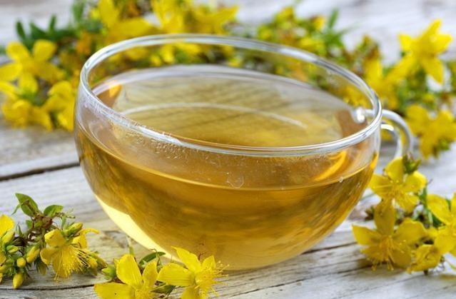 Tisana di iperico: effetti benefici eccezionali per l’organismo ma anche alcune controindicazioni
