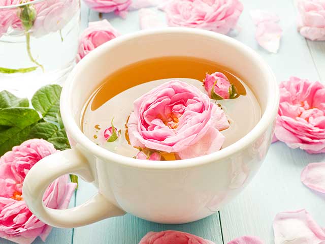 Tè di rose: gusto aromatico, profumo straordinario e proprietà medicinali uniche