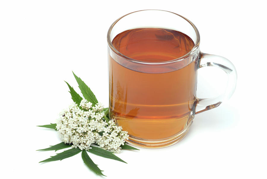 Tè di valeriana: rimedio per ansia, mal di testa, crampi mestruali e molto altro