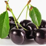 Ciliegie amare: i frutti dal gusto intenso e poteri curativi