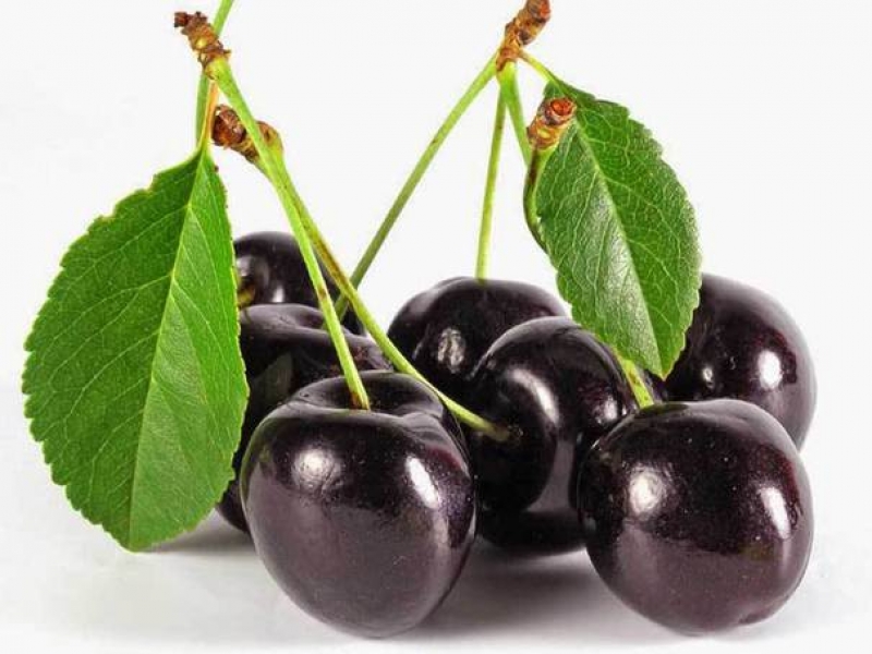 Ciliegie amare: i frutti dal gusto intenso e poteri curativi