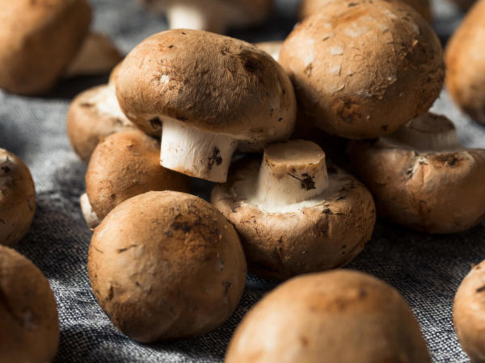 I funghi sono straordinari per la salute, un tesoro offerto in dono dalla natura