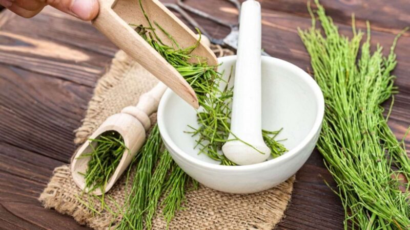 Come si prepara la polvere di equiseto per remineralizzazione