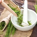 Applicazione esterna dell’infuso di equiseto: risultati rapidi sulla pelle
