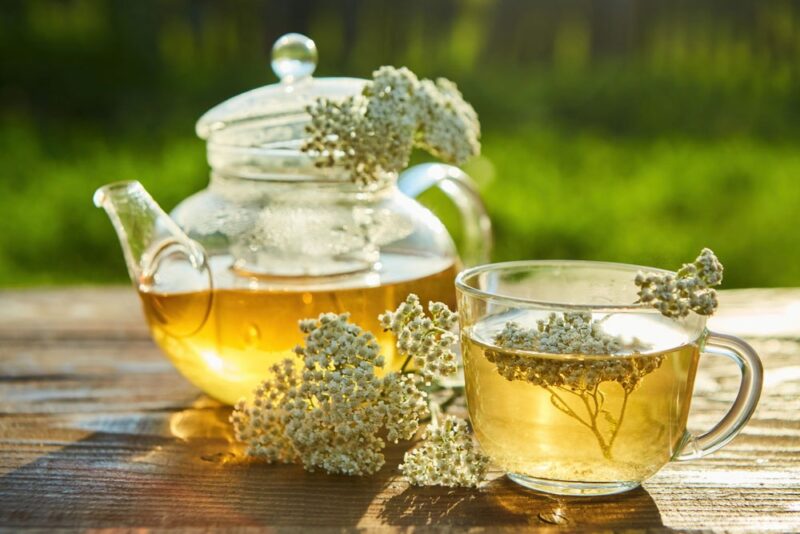 Cosa succede se bevi al mattino un’infusione di achillea per 14 giorni