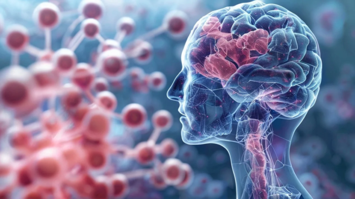 Come prevenire la demenza e l’Alzheimer attraverso l’alimentazione
