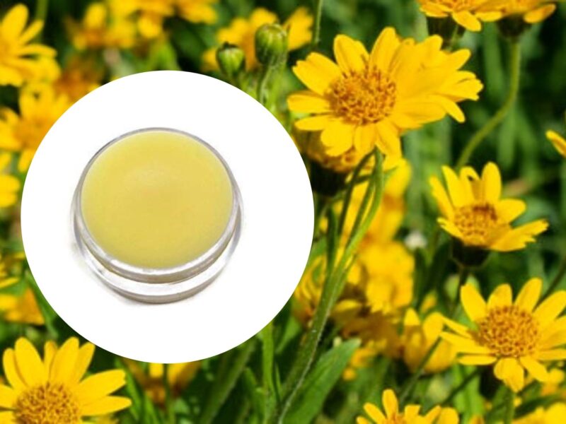 Unguento all’arnica rimedio naturale per dolori, infiammazioni e contusioni (ricetta)