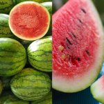 Come scegliere l’anguria più dolce