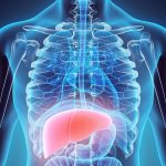 Pulizia del fegato passo dopo passo e trattamento per le allergie