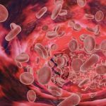 La miscela di 4 piante che purifica il sangue e la linfa in poche settimane (preparazione e consumo)