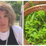 Cristela Georgescu riporta in vita un rimedio antico, nascosto in farmacia verde dal giardino