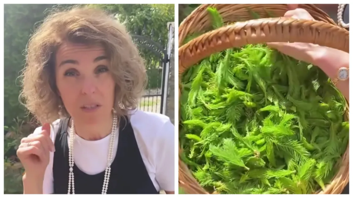 Cristela Georgescu riporta in vita un rimedio antico, nascosto in farmacia verde dal giardino