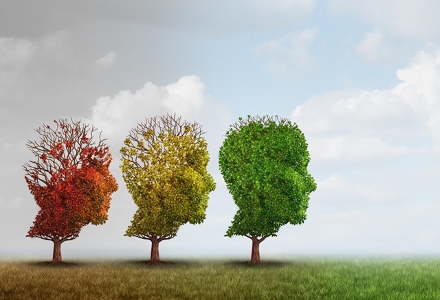 Le 6 migliori vitamine e minerali che proteggono il cervello dall’invecchiamento e dal declino cognitivo