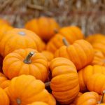La zucca è molto apprezzata sia per il suo sapore specifico che per i suoi importanti benefici per la salute, ed è una vera e propria star dell’autunno.