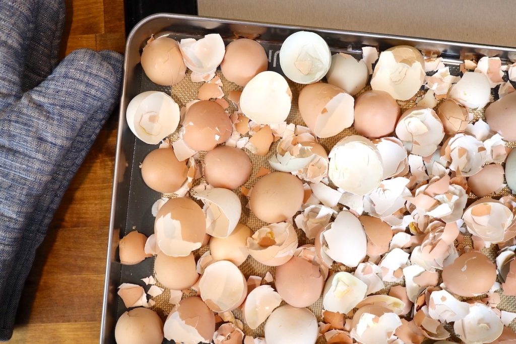 Polvere di guscio d’uovo e miele: ricetta popolare utilizzata per le ossa, l’immunità e il recupero dell’organismo