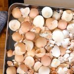 Polvere di guscio d’uovo e miele: ricetta popolare utilizzata per le ossa, l’immunità e il recupero dell’organismo