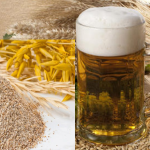 Il lievito di birra: più di un ingrediente della birra