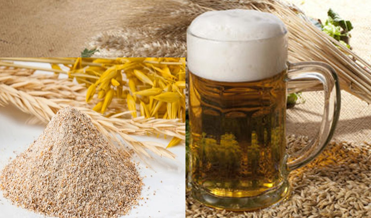 Il lievito di birra: più di un ingrediente della birra