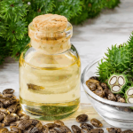 Olio di ricino: tra rimedio naturale e rischi, tutto ciò che devi sapere