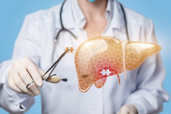 STRESS E FEGATO: la relazione tra di essi e soluzioni naturali supportate dalla medicina tradizionale cinese