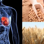 Alimenti da evitare con alto contenuto di estrogeni e come influenzano la salute