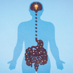 Intestino e cervello: il legame invisibile che può cambiare il tuo stato mentale e la tua salute fisica