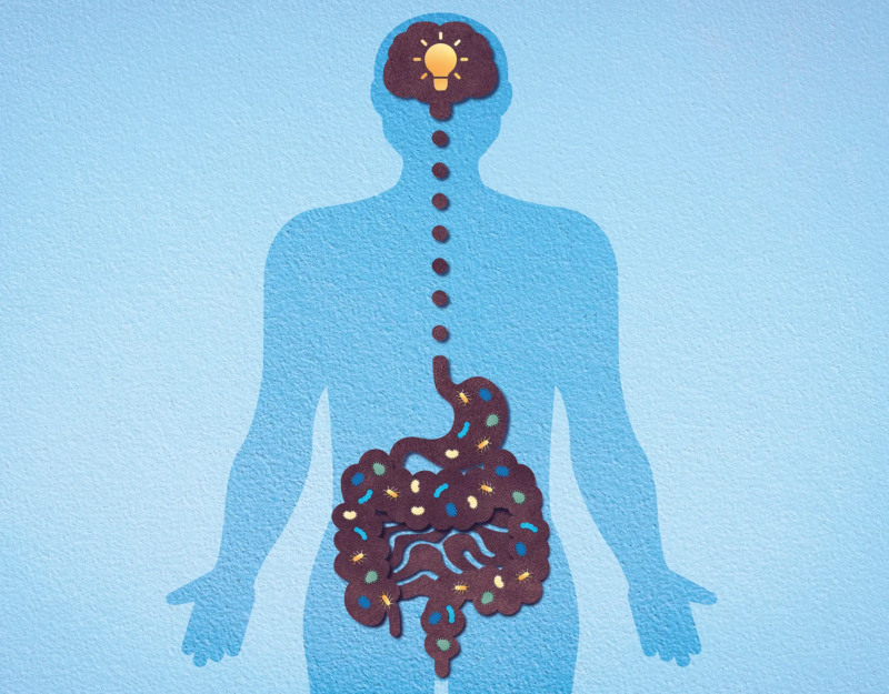 Intestino e cervello: il legame invisibile che può cambiare il tuo stato mentale e la tua salute fisica