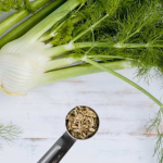 Il rimedio con semi di finocchio: calmante digestivo naturale, ma sai come prepararlo correttamente