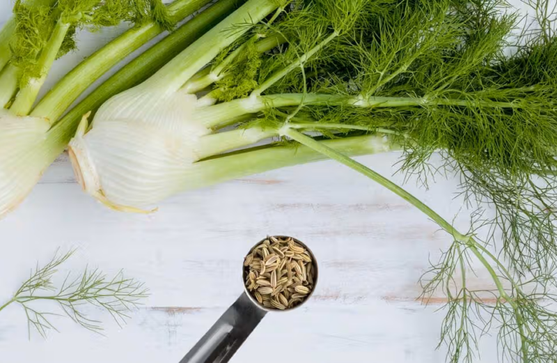 Il rimedio con semi di finocchio: calmante digestivo naturale, ma sai come prepararlo correttamente