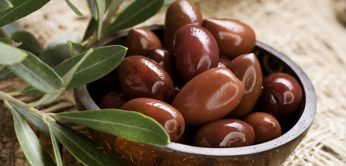 I semi di oliva marroni: un tesoro nascosto dell’albero mediterraneo