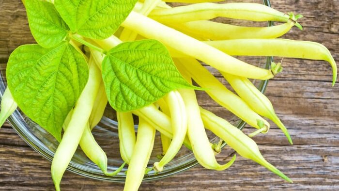 Il rimedio miracoloso della Bibbia per il diabete (modo di preparazione)