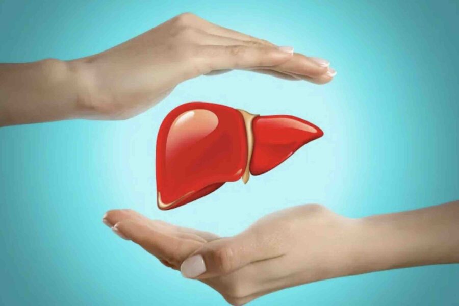 Il rimedio con assenzio, dente di leone e iperico: un mix con effetti spettacolari sul fegato