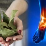 Le foglie di alloro: il rimedio profumato per piedi stanchi, gonfi e con problemi cutanei