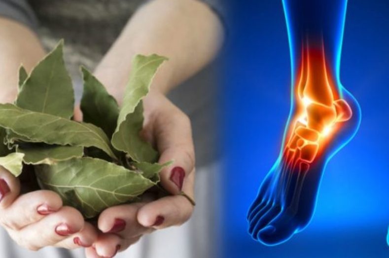 Le foglie di alloro: il rimedio profumato per piedi stanchi, gonfi e con problemi cutanei