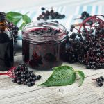 Frutti di sambuco: quali malattie trattano e come consumarli? 3 ricette per goderne tutto l’anno