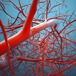 Frutti particolarmente benefici per i vasi sanguigni, raccomandati da un medico nutrizionista