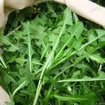 12 benefici incredibili ale consumului regulat de frunze de papadie