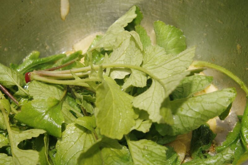 Succo di foglie di ravanello: un vero detox primaverile