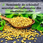 I semi di fieno greco: il segreto antinfiammatorio della medicina antica (ricette e utilizzo)
