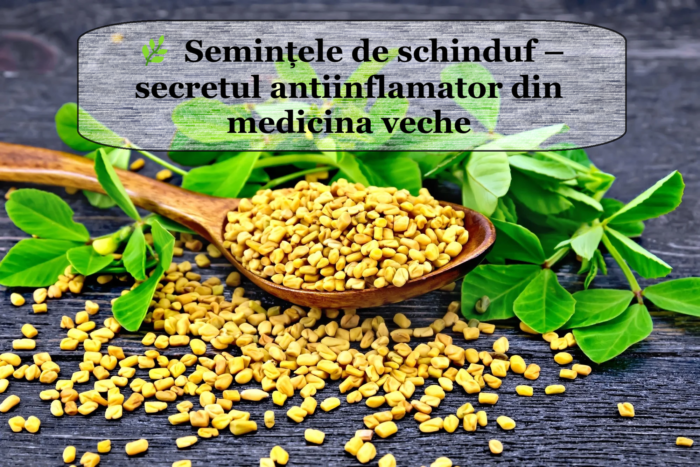 I semi di fieno greco: il segreto antinfiammatorio della medicina antica (ricette e utilizzo)