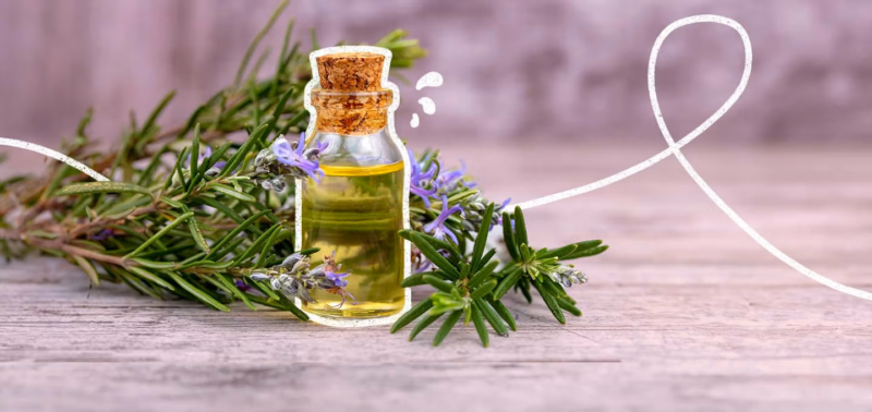 Come utilizzare il rosmarino per capelli più resistenti e cuoio capelluto sano