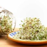 Germogli di alfalfa: benefici sostanziali per la salute e come coltivarli a casa