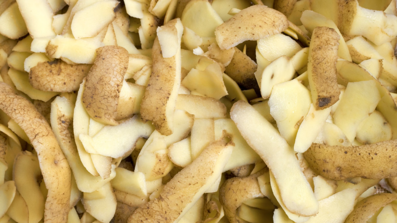Non gettare le bucce di patate! Usate correttamente, diventano un rimedio per la pelle