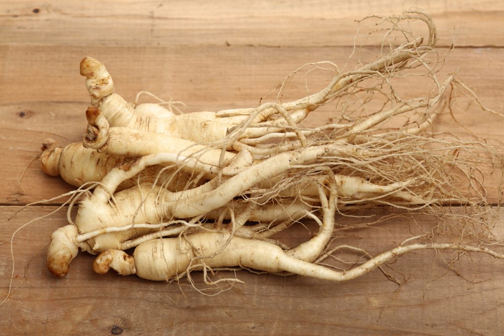 Il Ginseng elimina lo stress e migliora la funzione cerebrale + altri straordinari benefici